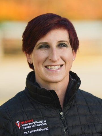 Lauren V. Schnabel