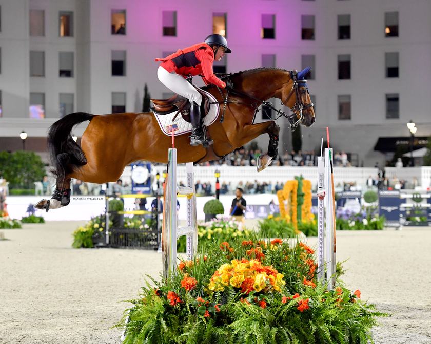 Show jumping horse and rider clearing a fence